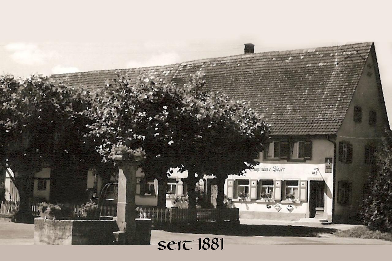 Gasthaus Seehof Iznang Zewnętrze zdjęcie